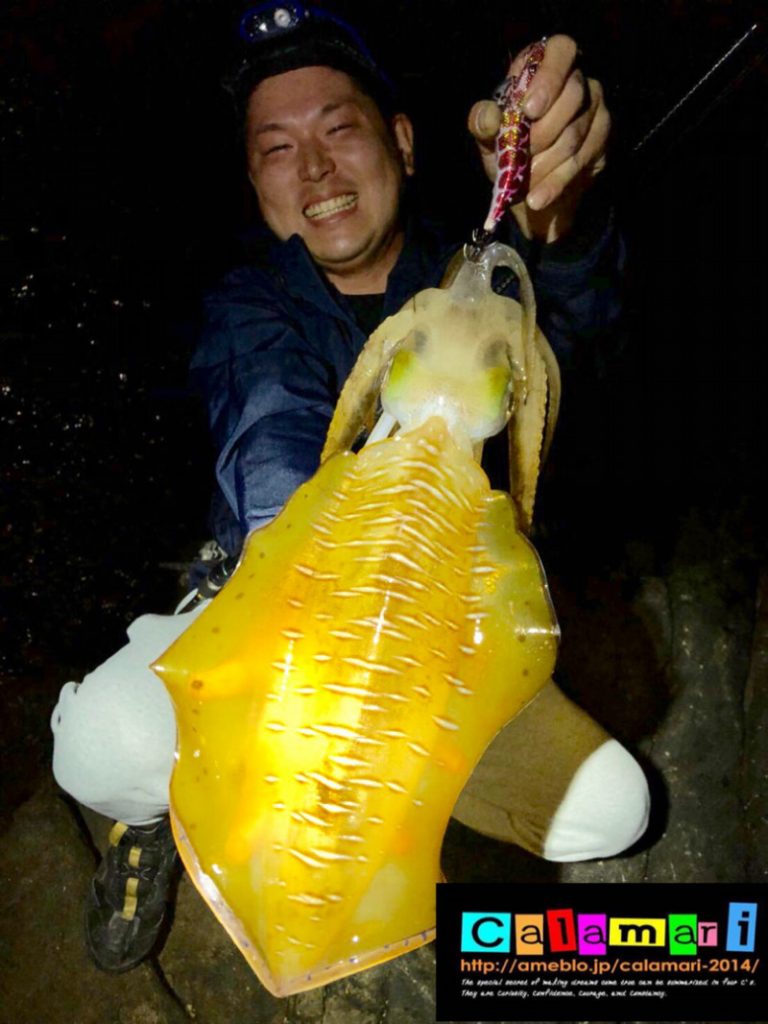 o0810108014182202995