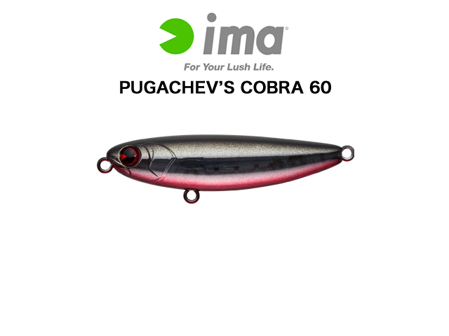 PUGACHEV'S COBRA 60