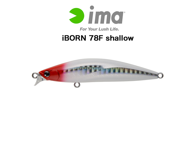 iBORN 78F shallow