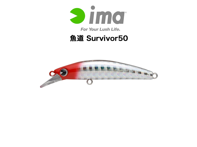 魚道 Survivor50
